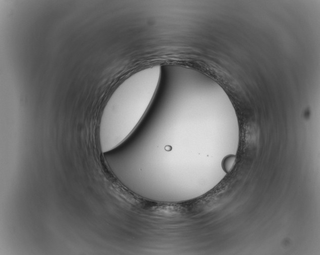 X0000097910567200803141032