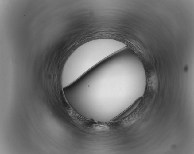 X0000097910572200803141032