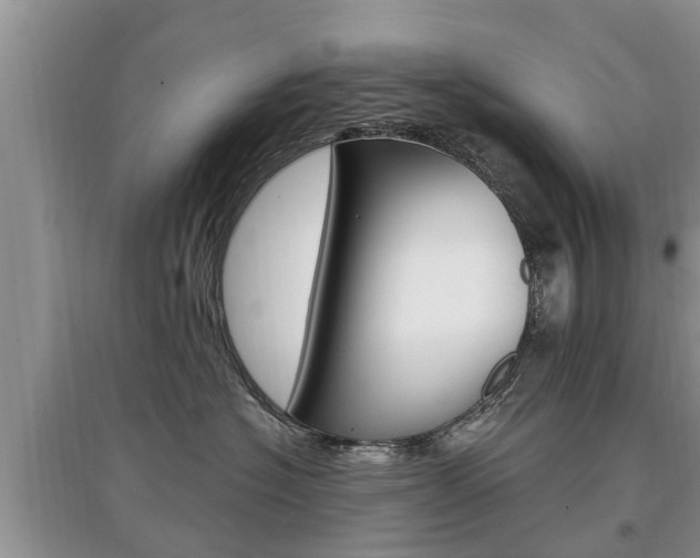 X0000097910574200803141032