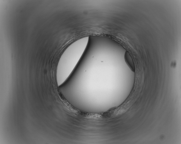 X0000097910576200803141032