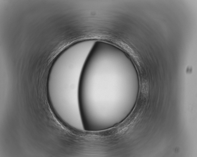 X0000097910577200803141031