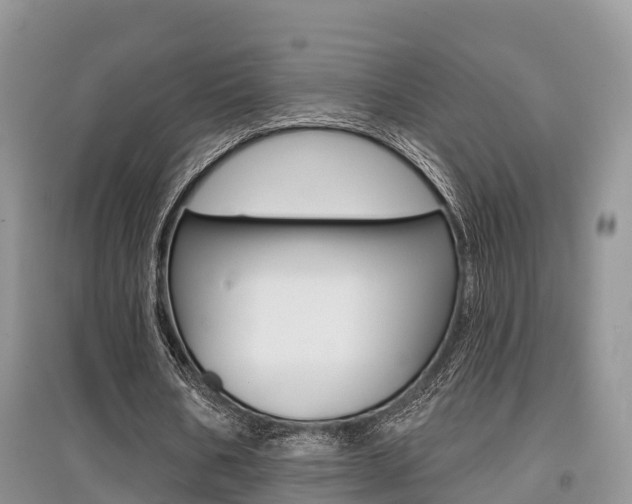 X0000097910578200803141031