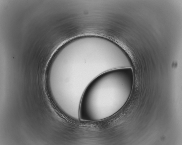 X0000097910580200803141031