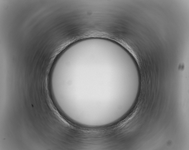 X0000097910581200803141031
