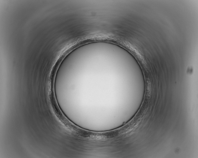 X0000097910582200803141031
