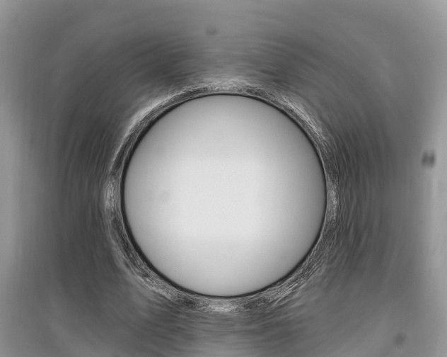 X0000097910583200803141031