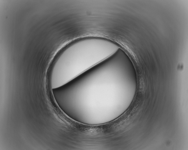 X0000097910584200803141031