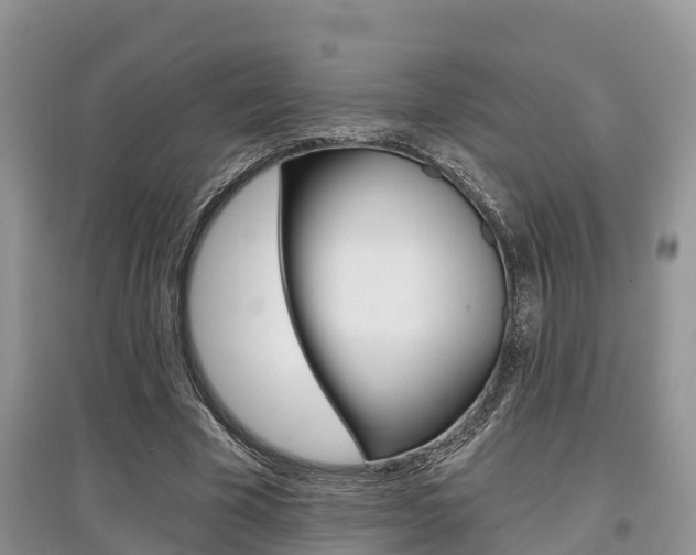 X0000097910585200803141031