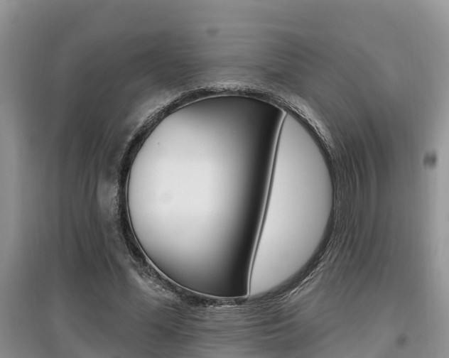 X0000097910588200803141031