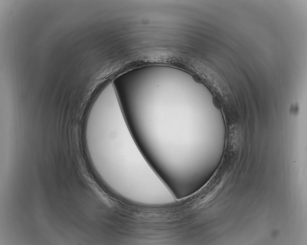 X0000097910589200803141031