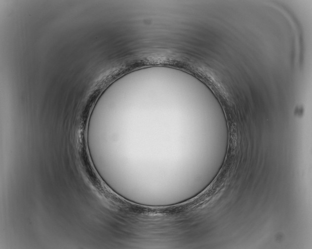 X0000097910590200803141031