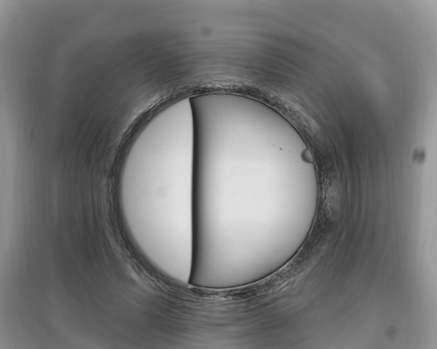 X0000097910591200803141031