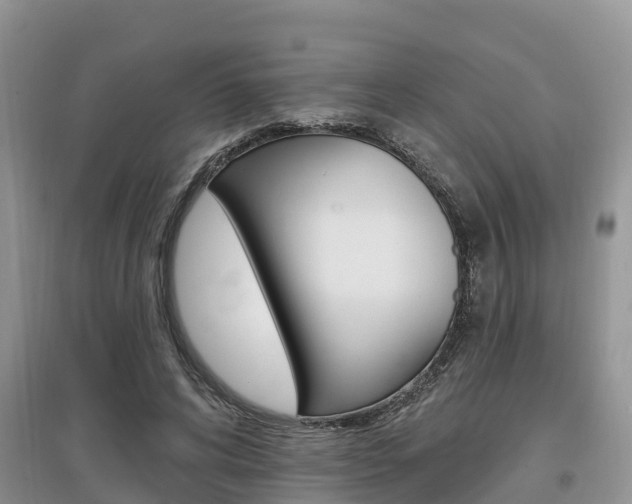X0000097910592200803141031