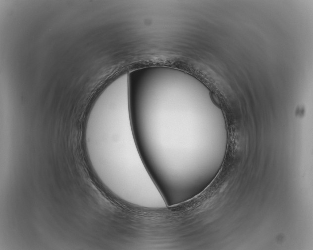 X0000097910593200803141031