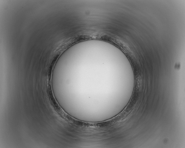 X0000097910594200803141031