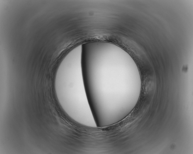 X0000097910595200803141031