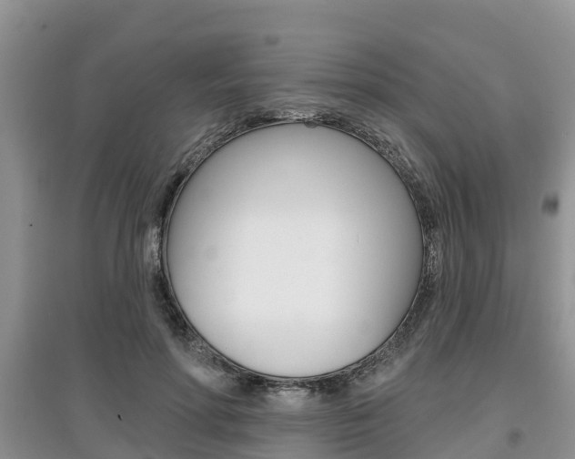 X0000097910598200803141031