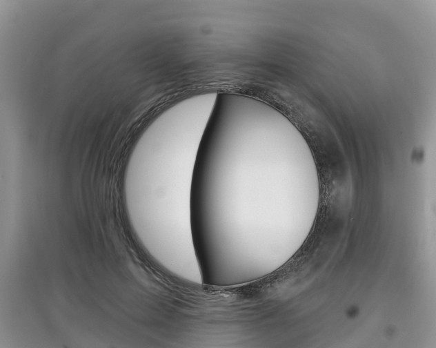 X0000097910599200803141031