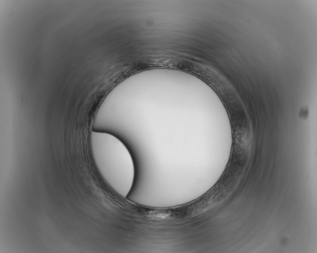X0000097910602200803141031