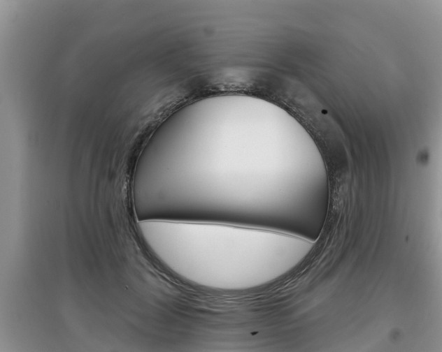 X0000097910604200803141031