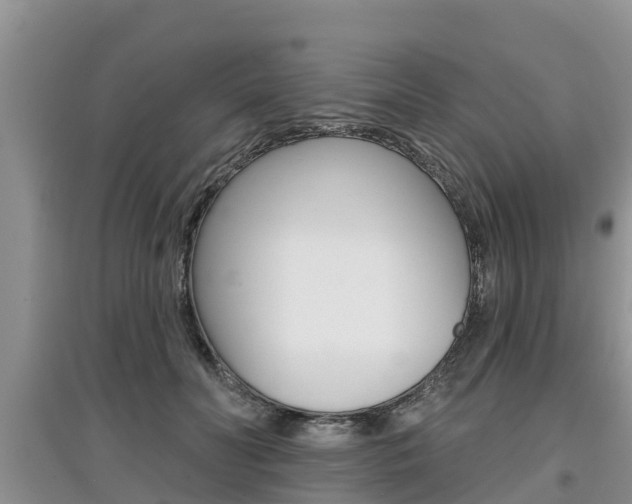 X0000097910606200803141031
