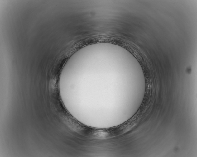 X0000097910610200803141031