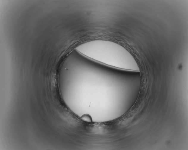 X0000097910612200803141031