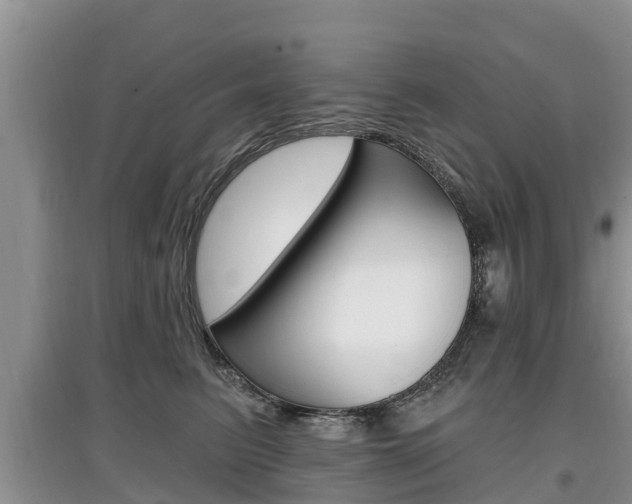 X0000097910615200803141030