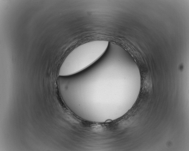 X0000097910616200803141030