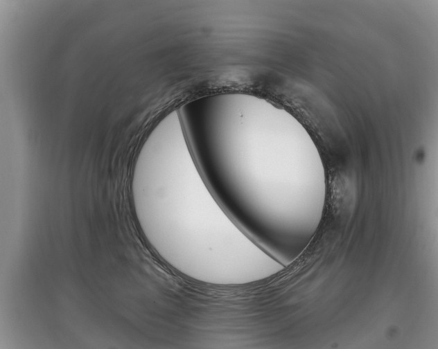 X0000097910617200803141030