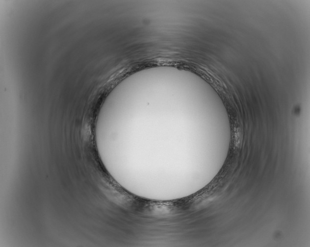 X0000097910618200803141030