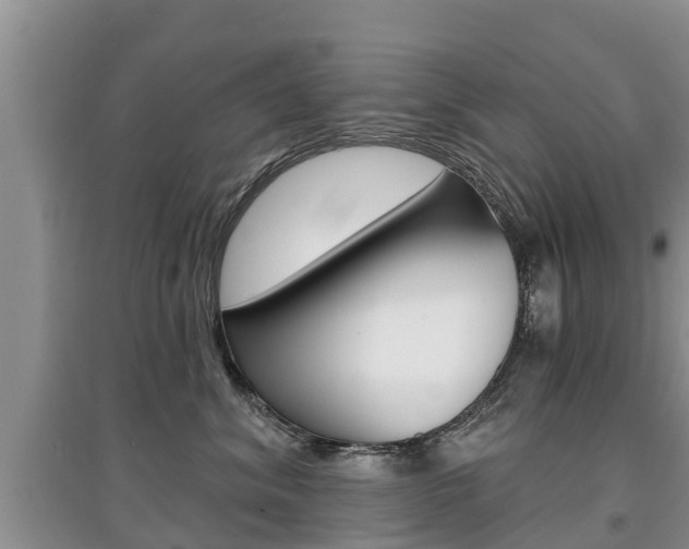 X0000097910620200803141030