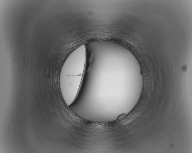X0000097910624200803141030