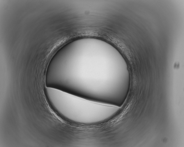 X0000097910625200803141030