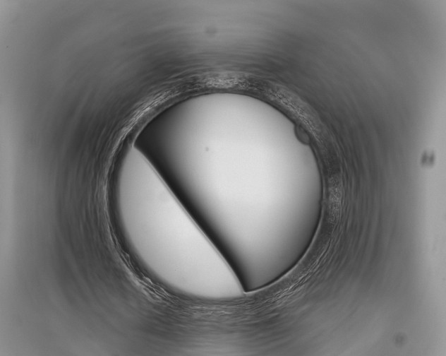X0000097910626200803141030