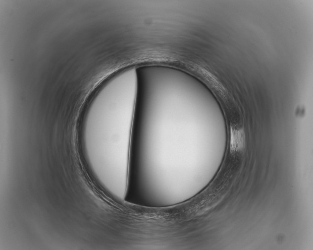 X0000097910627200803141030