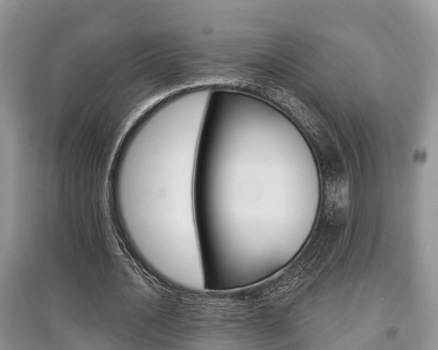 X0000097910628200803141030