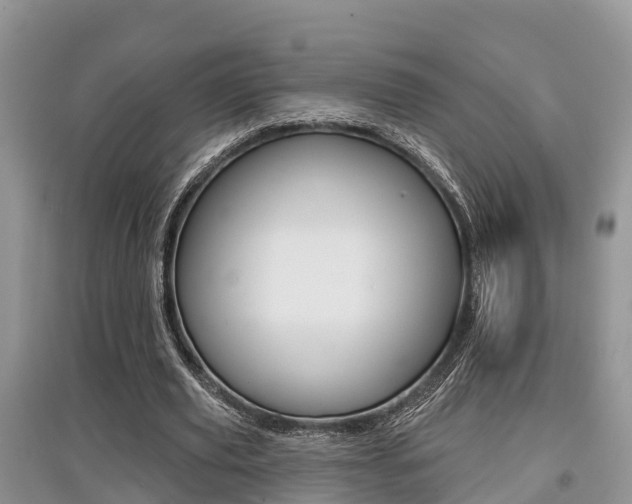 X0000097910629200803141030