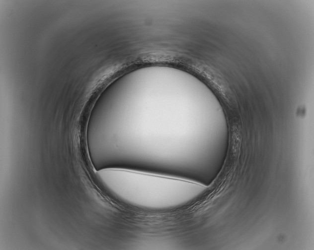X0000097910631200803141030