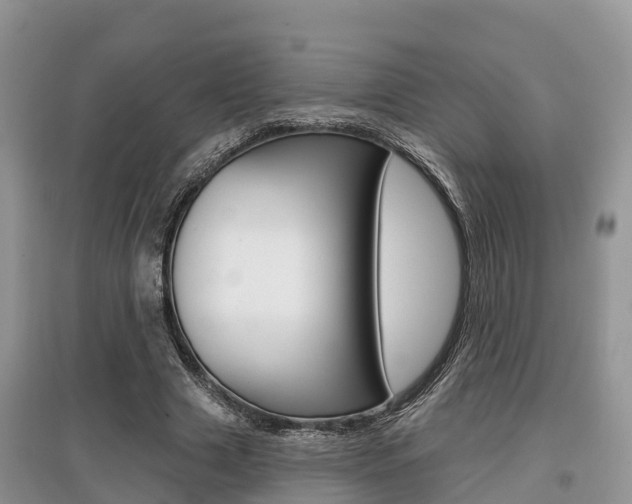 X0000097910633200803141030
