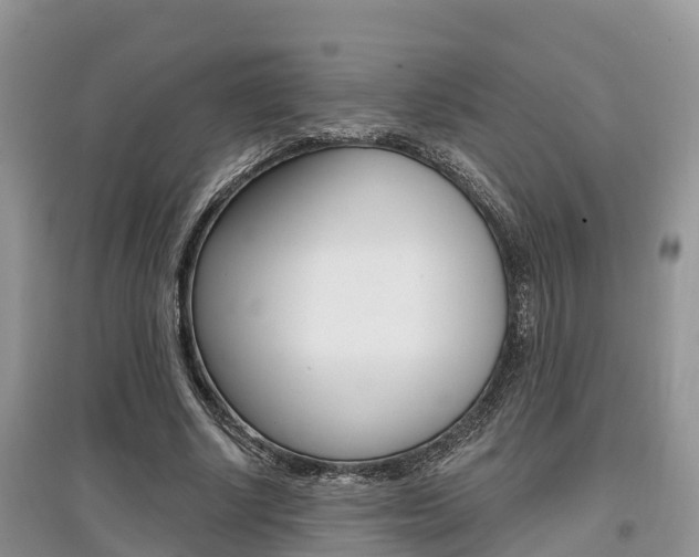 X0000097910634200803141030