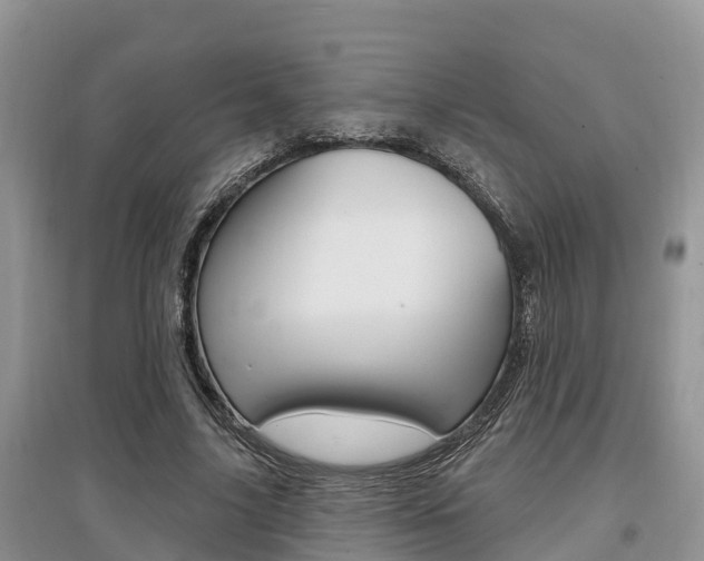 X0000097910635200803141030