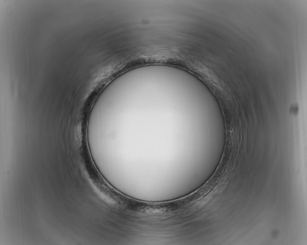 X0000097910638200803141030