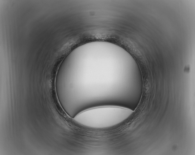 X0000097910639200803141030