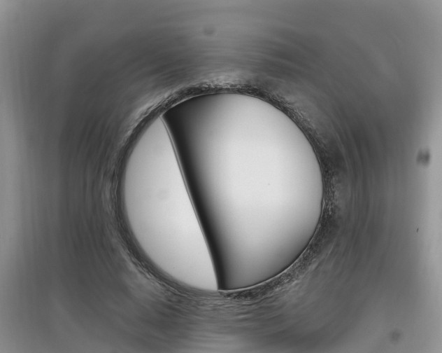 X0000097910640200803141030