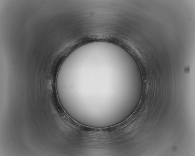X0000097910643200803141030