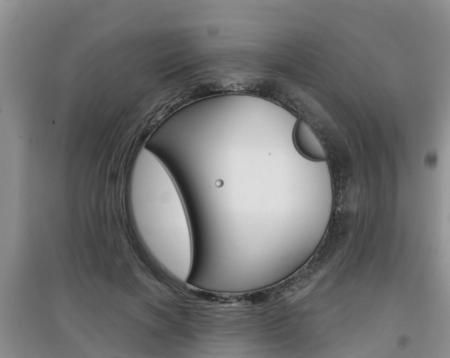 X0000097910646200803141030