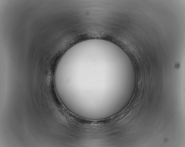 X0000097910647200803141030