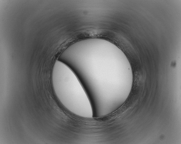 X0000097910650200803141030
