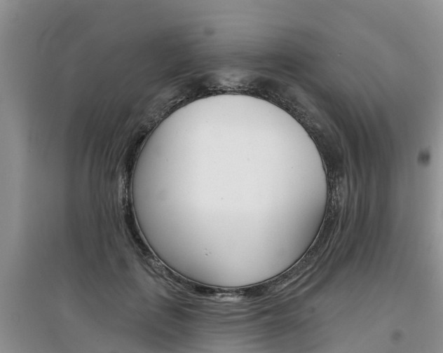 X0000097910651200803141030